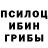 Галлюциногенные грибы Magic Shrooms G.O.R.D 727