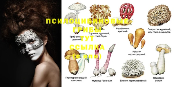 гидропоника Магадан