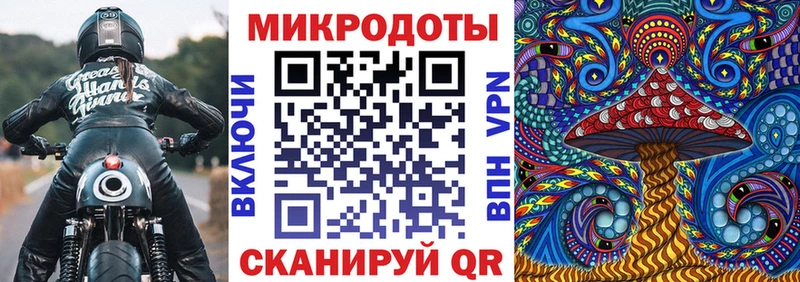 Галлюциногенные грибы прущие грибы  Коломна 